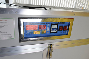 500 Incubadora de huevos Hatcher Combinar huevos de gallina a <span class=keywords><strong>un</strong></span> precio - Product Image 3