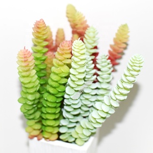 Grama artificial, novo toque verdadeiro decoração interna plástico planta 6 cabeça dinheiro grama suculente - Product Image 5