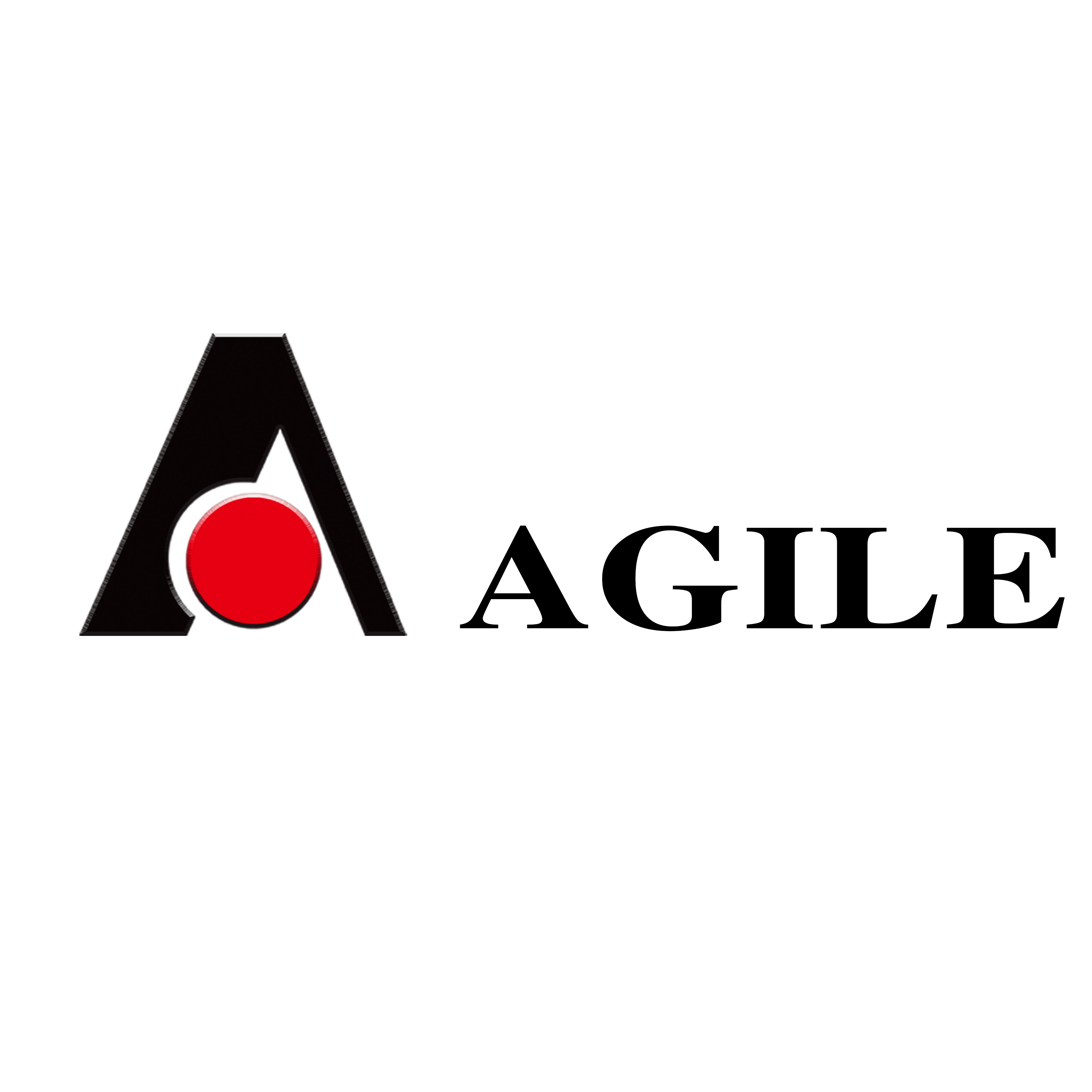 Shijiazhuang Anjie Electric Co., Ltd. logo