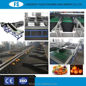 Fruit And Vegetable Sorting Machine Lemon Apple Orange Fruit Vegetable Drying Waxing Sorting Line Machine