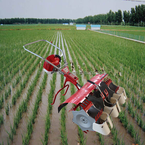 Hiệu Quả Cao 1 2 3 Hàng Paddy Weeder Ở Philippines - Product Image 6