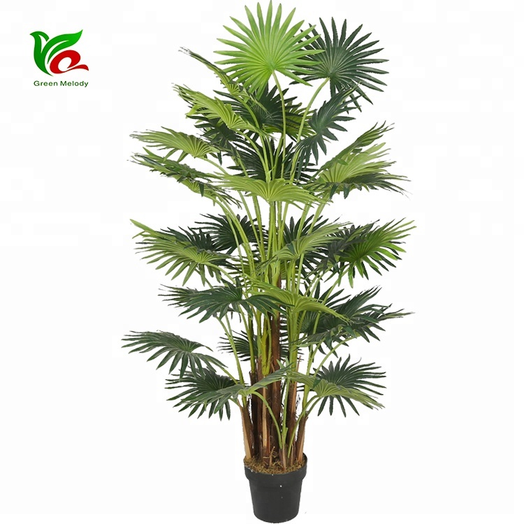Customized 1.6m For Indoor Decoration Plastic Fan Palm Tree