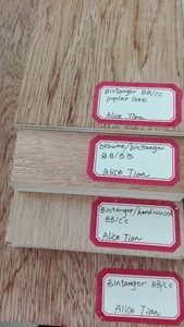 MR/<span class=keywords><strong>BWR</strong></span>/BWP grado madera contrachapada, bintangor contrachapado - Product Image 2