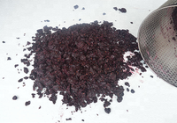Presse à jus de raisin manuelle hydraulique compacte pour usage domestique – Vente directe usine à prix réduit