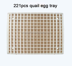 Plateau, pièces de rechange pour œufs de pigeon, plateau en plastique, accessoires incubateur, 221 pièces - Product Image 1