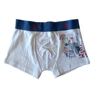 ชุดชั้นในเด็กชายน่ารักและกางเกงนักมวยเด็กชายลายดาว - Product Image 2