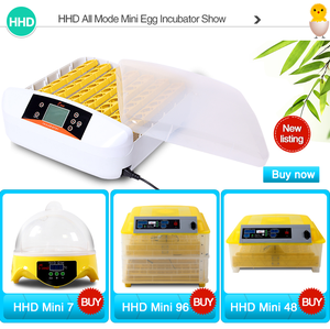 自動インキュベーターHHDブランド全自動家禽卵インキュベーター5000卵孵化機ネパール販売
