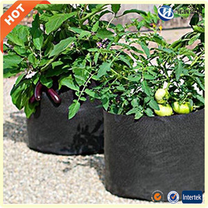 Venta caliente <span class=keywords><strong>de</strong></span> la decoración <span class=keywords><strong>de</strong></span> interior al aire libre árbol crecer bolsa <span class=keywords><strong>en</strong></span> ebay <span class=keywords><strong>amazon</strong></span> - Product Image 3