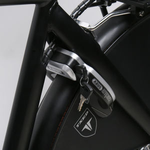 <span class=keywords><strong>Bicicleta</strong></span> Eléctrica de <span class=keywords><strong>Calidad</strong></span> al <span class=keywords><strong>Mejor</strong></span> <span class=keywords><strong>Precio</strong></span>, <span class=keywords><strong>Bicicleta</strong></span> Holandesa - Product Image 6