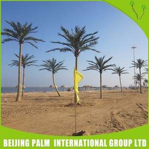 Meilleur Vente Artificielle <span class=keywords><strong>Palmiers</strong></span> Palmier Dattier Prix <span class=keywords><strong>Grand</strong></span> Extérieure - Product Image 1