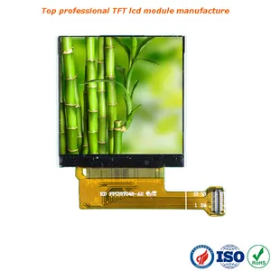 Groothandel ShenZhen fabrikant 1.54 inch LCD TFT touch panel voor elektronische toepassing/apparatuur/apparaat/machine/product