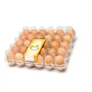 Bandeja plástica descartável do ovo 30 célula blister para ovos de galinha clamshell ovo embalagem bandeja