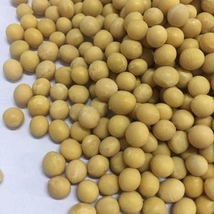 Hạt Đậu Nành Non GMO Hữu Cơ Yanzhifang - Product Image 4