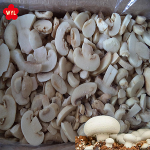 Bán Buôn Trung Quốc Đông Lạnh Nấm Trắng Trồng Tươi IQF Đông Lạnh Champignon Lát - Product Image 6