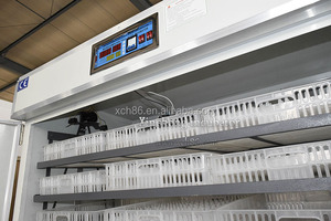 Dezhou 1500 Egg Incubator and Hatching Machine Small Capacity Automatic White <strong>PP</strong> Chicken Breeder for Emu Goose &amp; Ostrich - Product Image 3