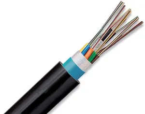 Internet Good Price 288 2 Core Indoor Fiber Optic Internet Cable