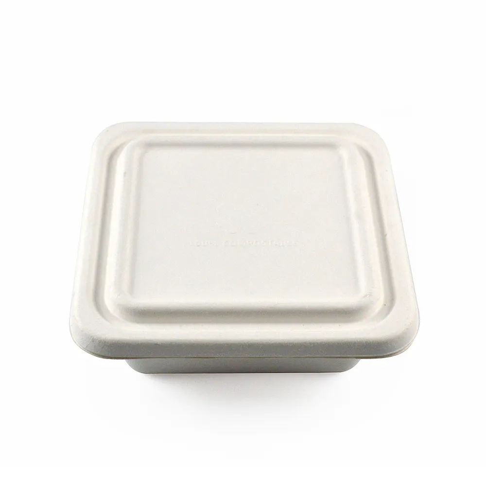 Kotak Kemasan Mudah Terurai untuk Makanan Beku Yang Ramah Lingkungan/Praktis/Kotak Tebu