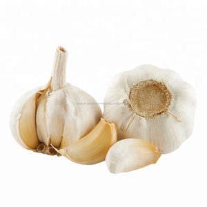 China <span class=keywords><strong>elefante</strong></span> de <span class=keywords><strong>ajo</strong></span> blanco fresco de 5 cm, 7 kg bolsa de malla para la <span class=keywords><strong>venta</strong></span> - Product Image 1