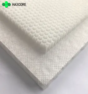 กันน้ำ PP Polypropylene Core Honeycomb แผง