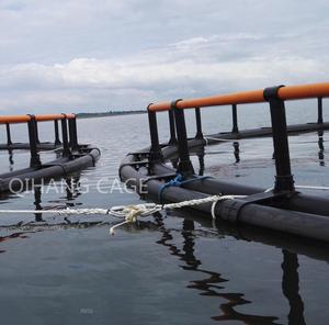 Cage d'aquaculture pour la pisciculture en eaux profondes avec cadre en HDPE et filet en PE/Nylon, diamètre de 8m à 40m, durée de vie de 15 ans - Product Image 4