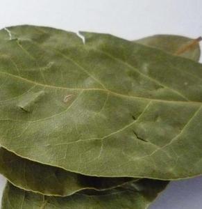 Xiangye tutto Naturale di new secchi laurel leaf Laurus nobilis Bay <span class=keywords><strong>foglia</strong></span> per la spezia - Product Image 6