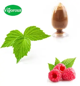 Extracto de Raspberry, polvo de extracto de Raspberry, Rubus Chingii Hu, ketone, muestra gratis