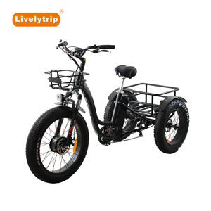 <span class=keywords><strong>Bafang</strong></span> <span class=keywords><strong>moteur</strong></span> de moyeu <span class=keywords><strong>avant</strong></span> chargement électrique trois roues vélo/pédicab électrique - Product Image 3