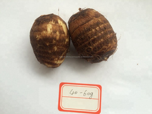 Hohe qualität frische chinesische lila taro