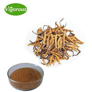 100% טהור טבעי Cordycepin <span class=keywords><strong>Cordyceps</strong></span> Sinensis תמציות אבקה - Product Image 1