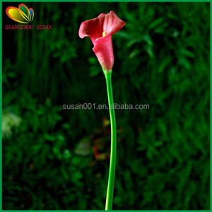 Flores artificiales mini calla <span class=keywords><strong>lirio</strong></span> verdadero toque para decoración del hogar - Product Image 2