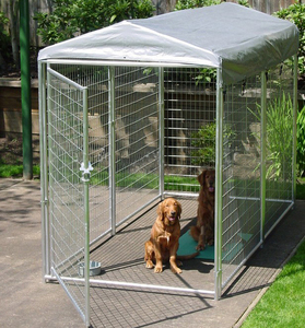 En çok satan açık köpek kulübesi kafes galvanizli tel örgü ve demir kasalar katı desen doğrudan fabrika tarafından sağlanan - Product Image 3