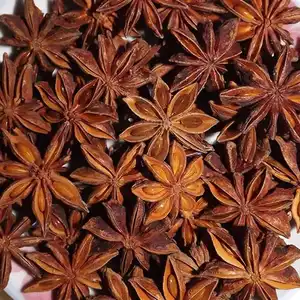Factory Price Star Anise Powder Extract fennel seeds cumin seeds Chinese Star Anise
