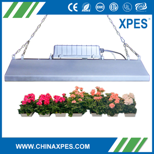 CE/TUV/ROHS protezione induzione <span class=keywords><strong>357</strong></span> <span class=keywords><strong>magnum</strong></span> principale coltiva la luce - Product Image 1