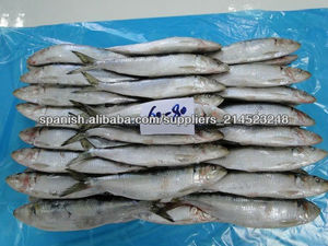 mariscos Sardinas Pescado Congelado 60-80g - Product Image 1