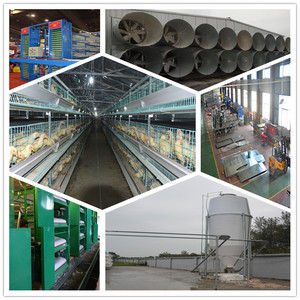 Fuente de la fábrica barato jaulas capa de pollo con el diseño profesional <span class=keywords><strong>Gallinero</strong></span> - Product Image 1