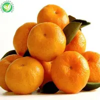 סיני בתפזורת טרי תפוזי מנדרינית במחיר