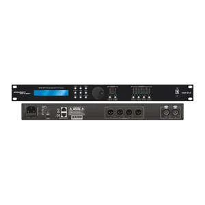 Professionele Dsp Speaker Equalizer DSP-2X4