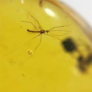 Arabia Saudita popolare dei monili della <span class=keywords><strong>pietra</strong></span> preziosa del commercio all'ingrosso 18.3x22.6x7.2mm Messico naturale giallo <span class=keywords><strong>ambra</strong></span> <span class=keywords><strong>pietra</strong></span> allentata - Product Image 4