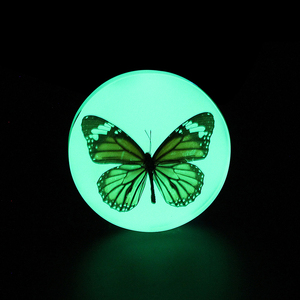 Chất lượng 100% phát quang phát sáng trong bóng tối nhựa photoluminescent nhựa - Product Image 2