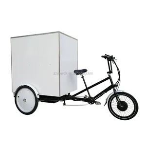 Urban Utility Food And Cargo Delivery Electric Tricycle Truck Trike For Sale