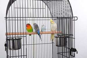 <span class=keywords><strong>Fancy</strong></span> Uccello Gabbia del Pappagallo Piccione Gabbie di Uccello Gabbie di Alimentazione Con La rotella - Product Image 2