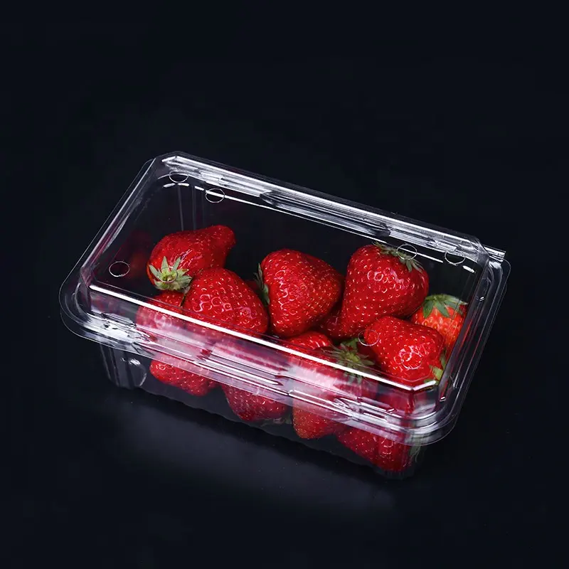 Food Grade PET Blister Plastic Fruit Clamshell Packaging Tray Vegetable Punnet Strawberry Tray