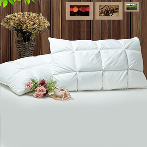 New style the Reina size Anti-Snoring Hotel pillows allergy free - Product Image 1