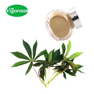 Best price cassava leaf extract/hot sellers manioc leaf extract/free samples manihot esculenta extract