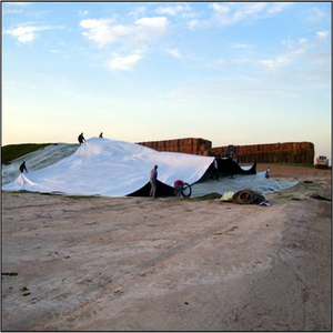 Couverture de <span class=keywords><strong>silo</strong></span> blanc/noir, couverture de bunker pour ensilage de maïs, <span class=keywords><strong>film</strong></span> plastique 5mil 6mil - Product Image 6