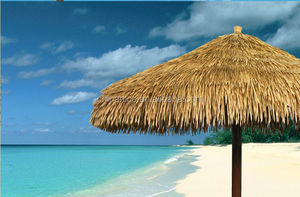 Gazebo con Ombrelloni in Paglia Sintetica per Bar sulla Spiaggia - Product Image 1