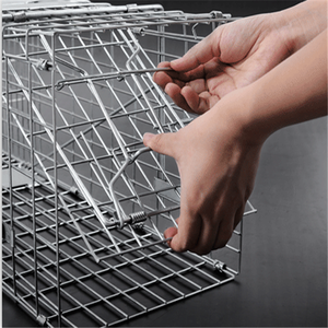 Jaula trampa para animales plegable de 34 "x 10" x 12 "para rata, zarigüeya, <span class=keywords><strong>mapache</strong></span> y gato salvaje - Product Image 4