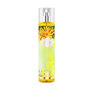 Mejor Vendedor 250 ml cosméticos cuerpo lujos Splash niebla precio - Product Image 2
