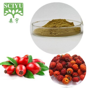 Kuşburnu Ekstresi Tozu Kuşburnu Ekstresi 20:1 10:1 Suda Çözünür - Product Image 2