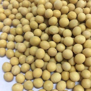 Hạt Đậu Nành Non GMO Hữu Cơ Yanzhifang - Product Image 6